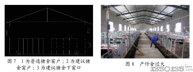透明瓦用于猪场的好处